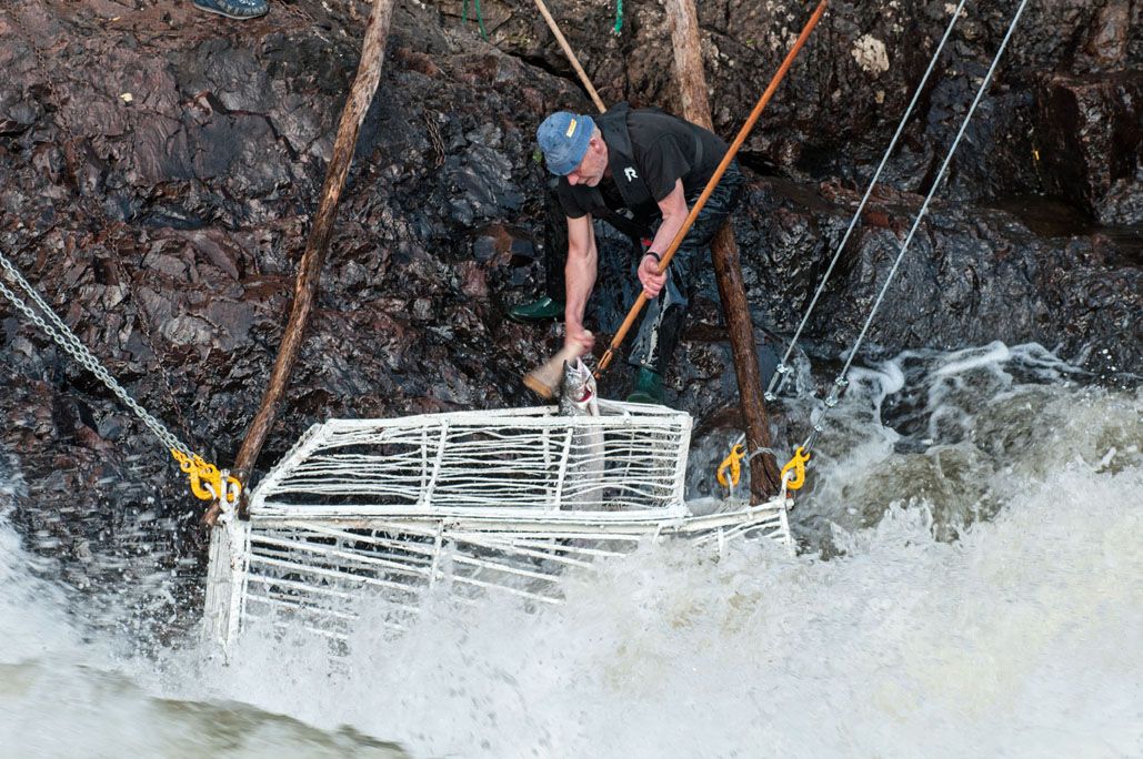 Fishing in the river