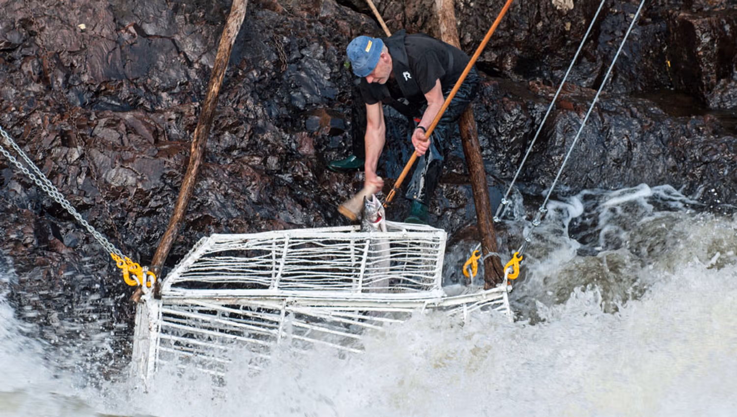 Fishing in the river