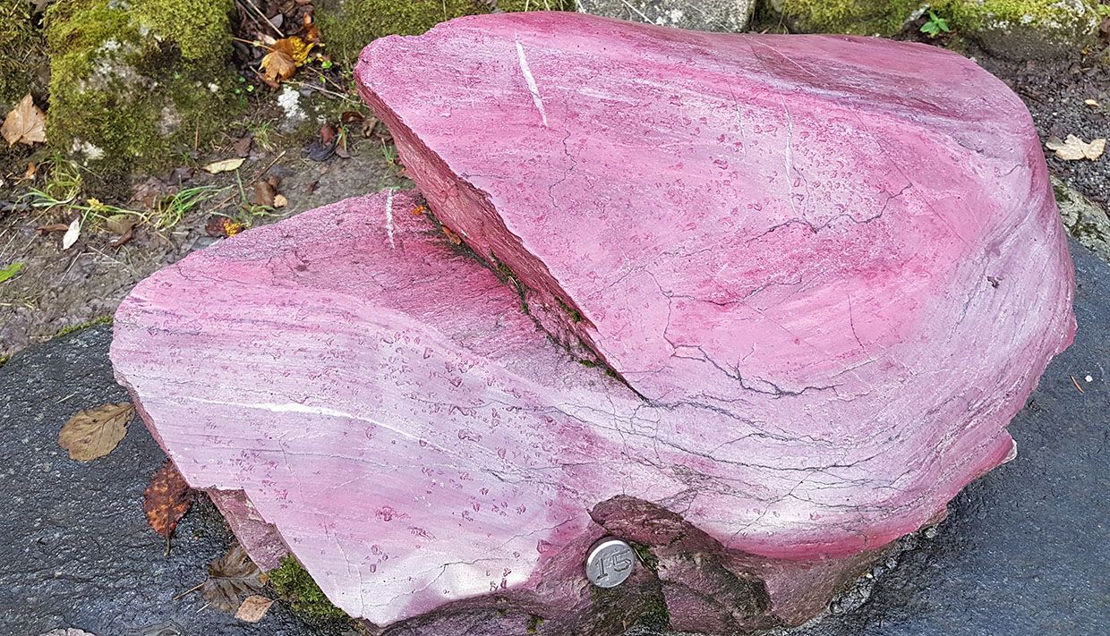 Pink rock in Steinparken Rosendal, showcasing one of Hardanger’s unique stone types.
