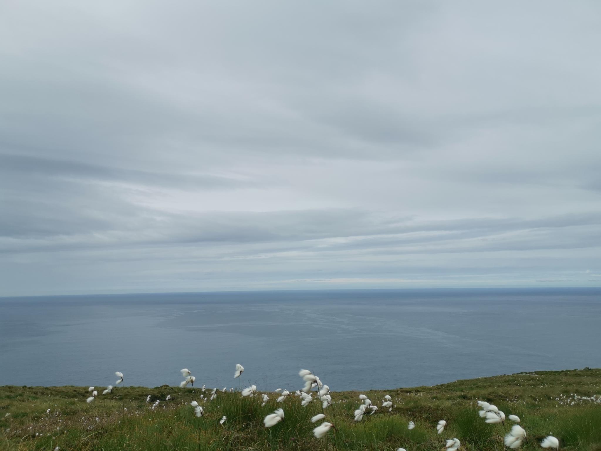View from Hesten