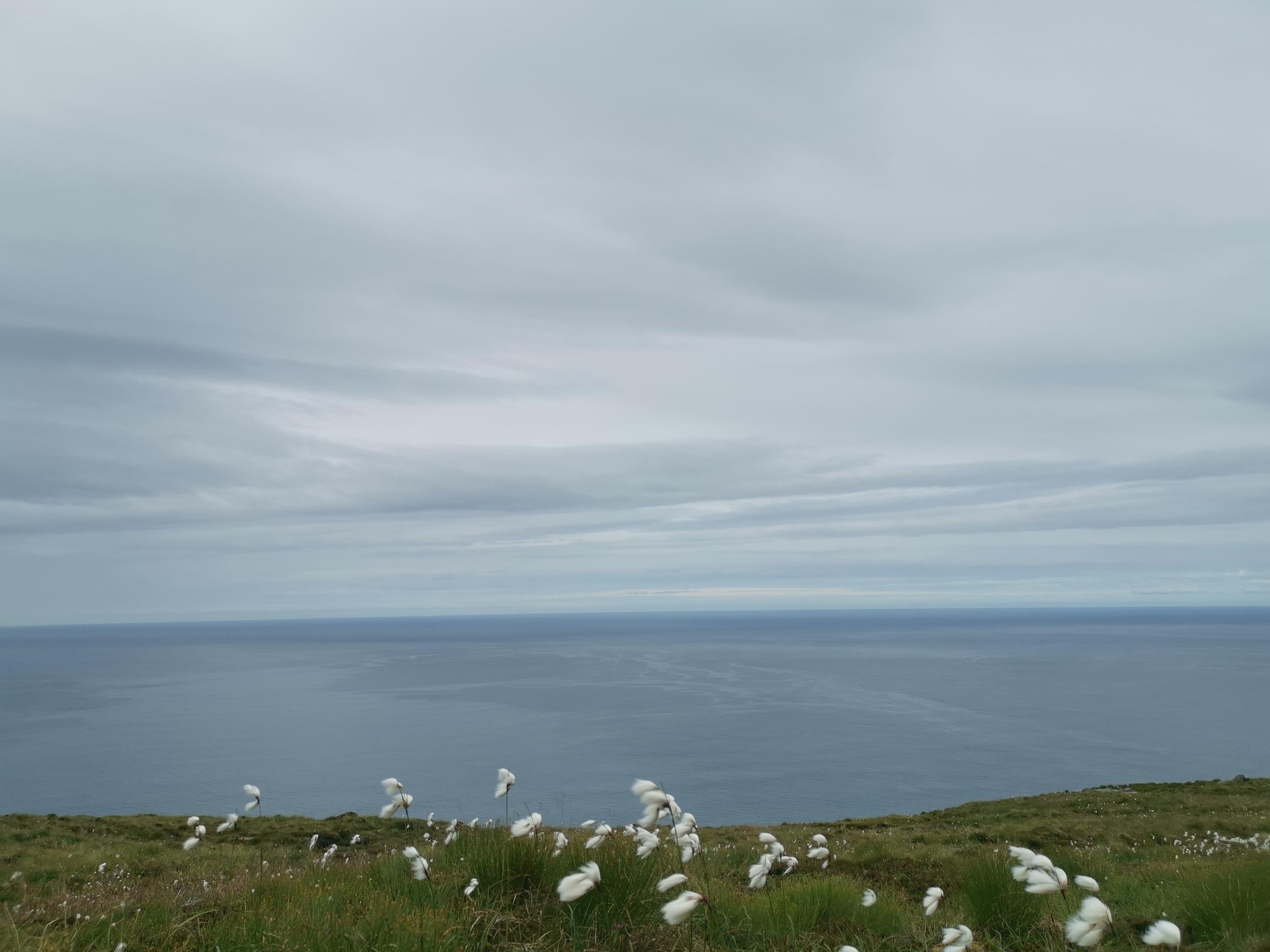 View from Hesten
