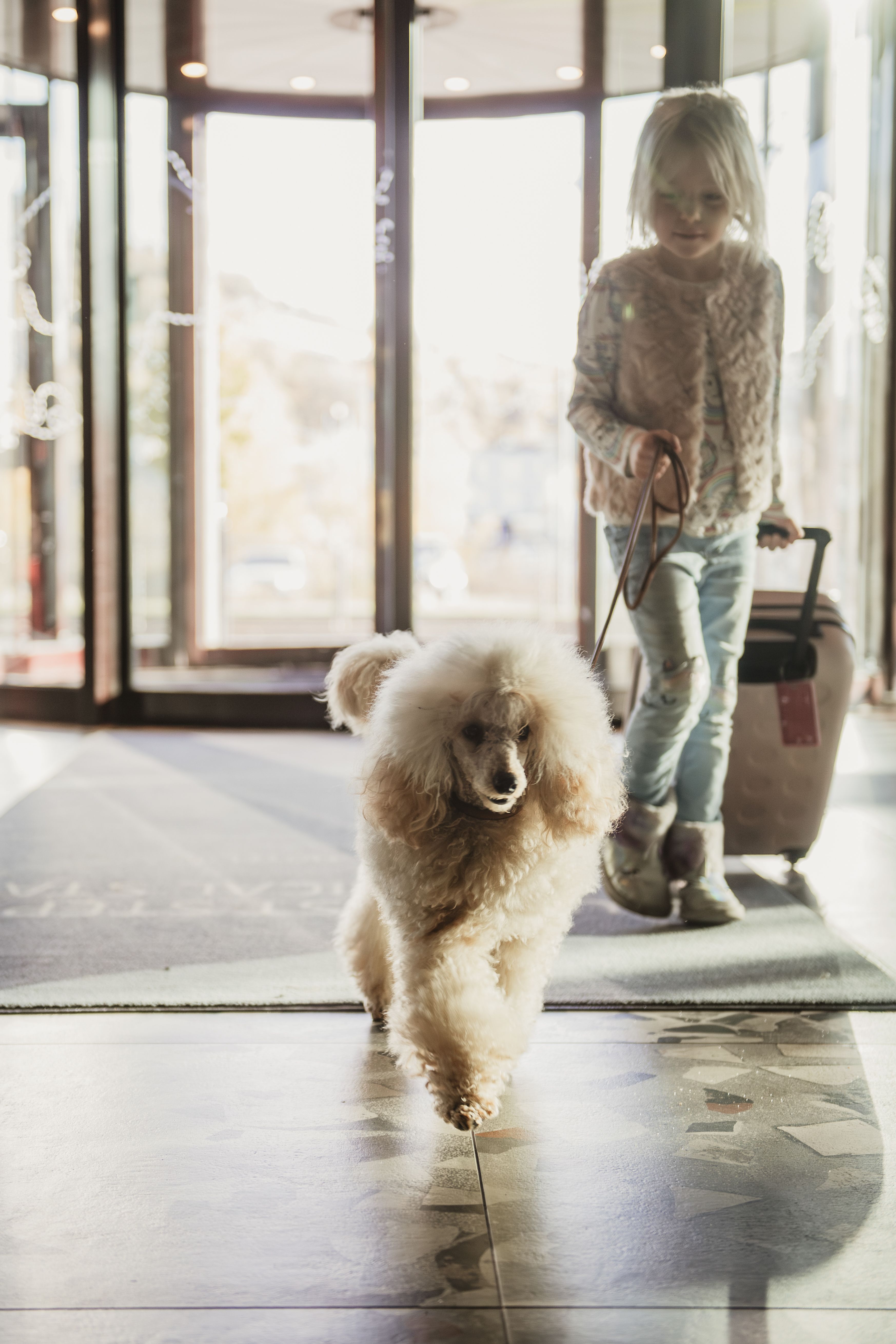 Dog friendly hotel. 
