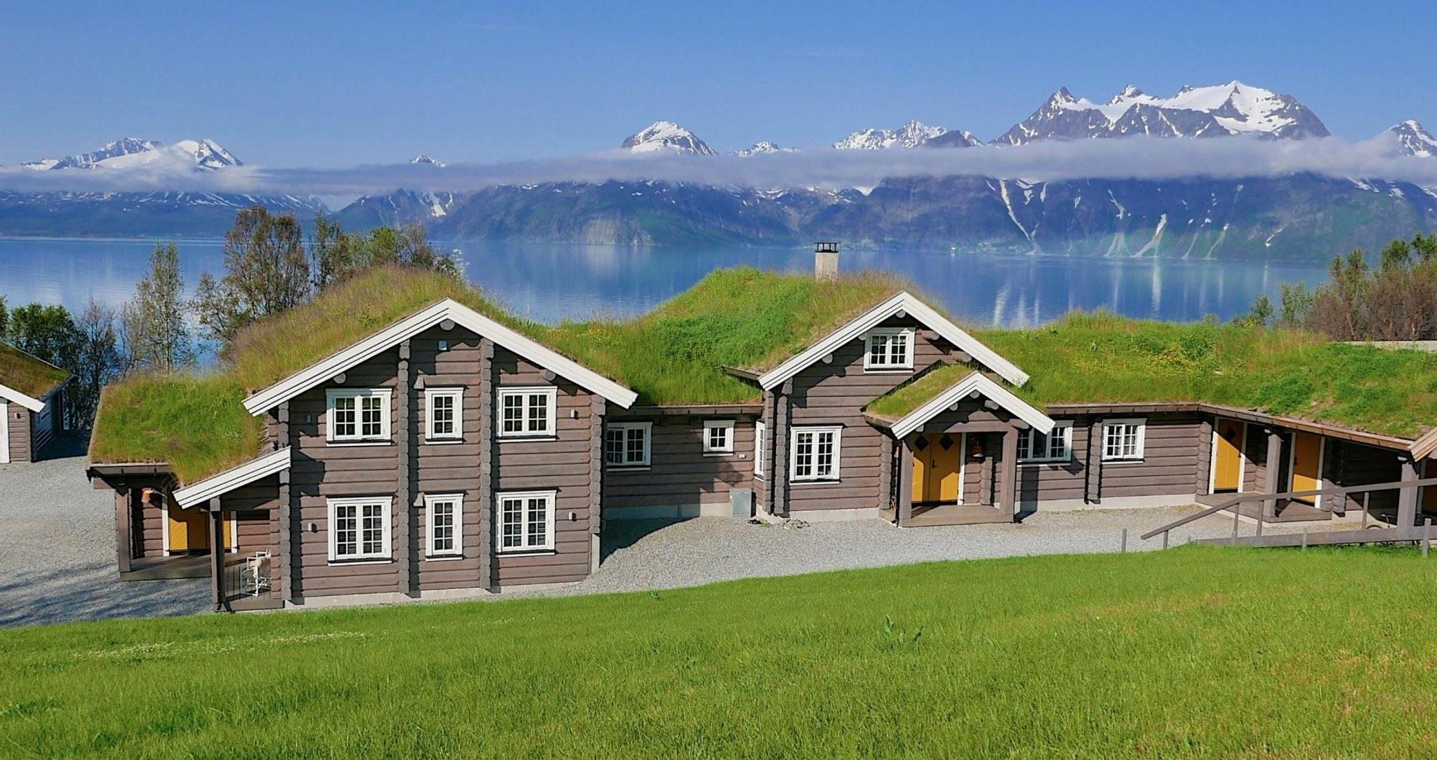 Lodge in summer time