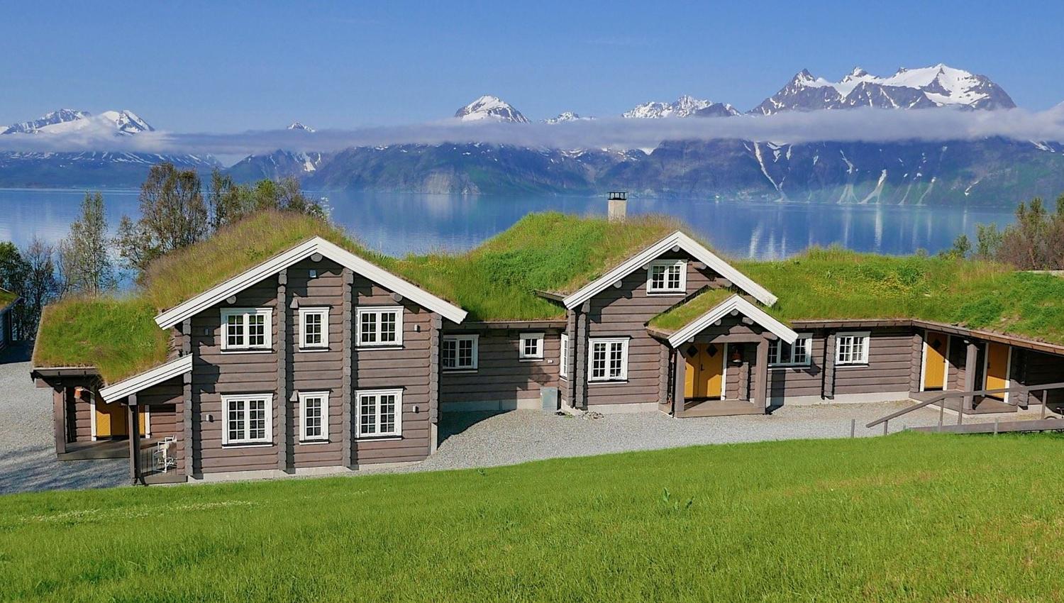Lodge in summer time