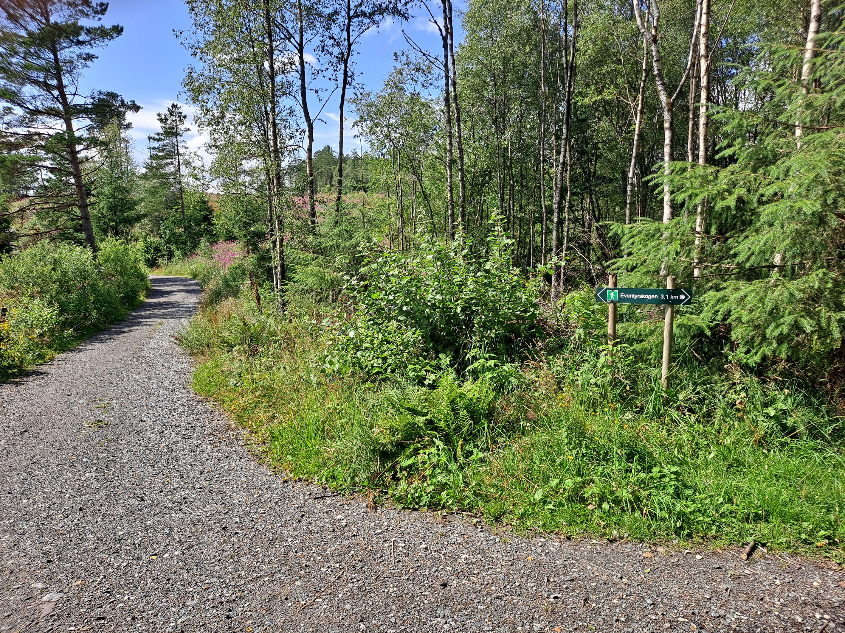Rundtur Eventyrskogen på Stord
