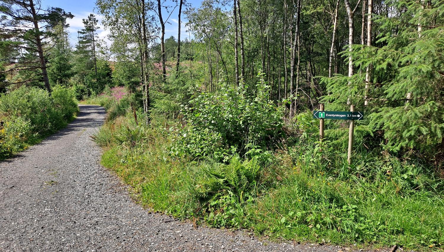 Rundtur Eventyrskogen på Stord