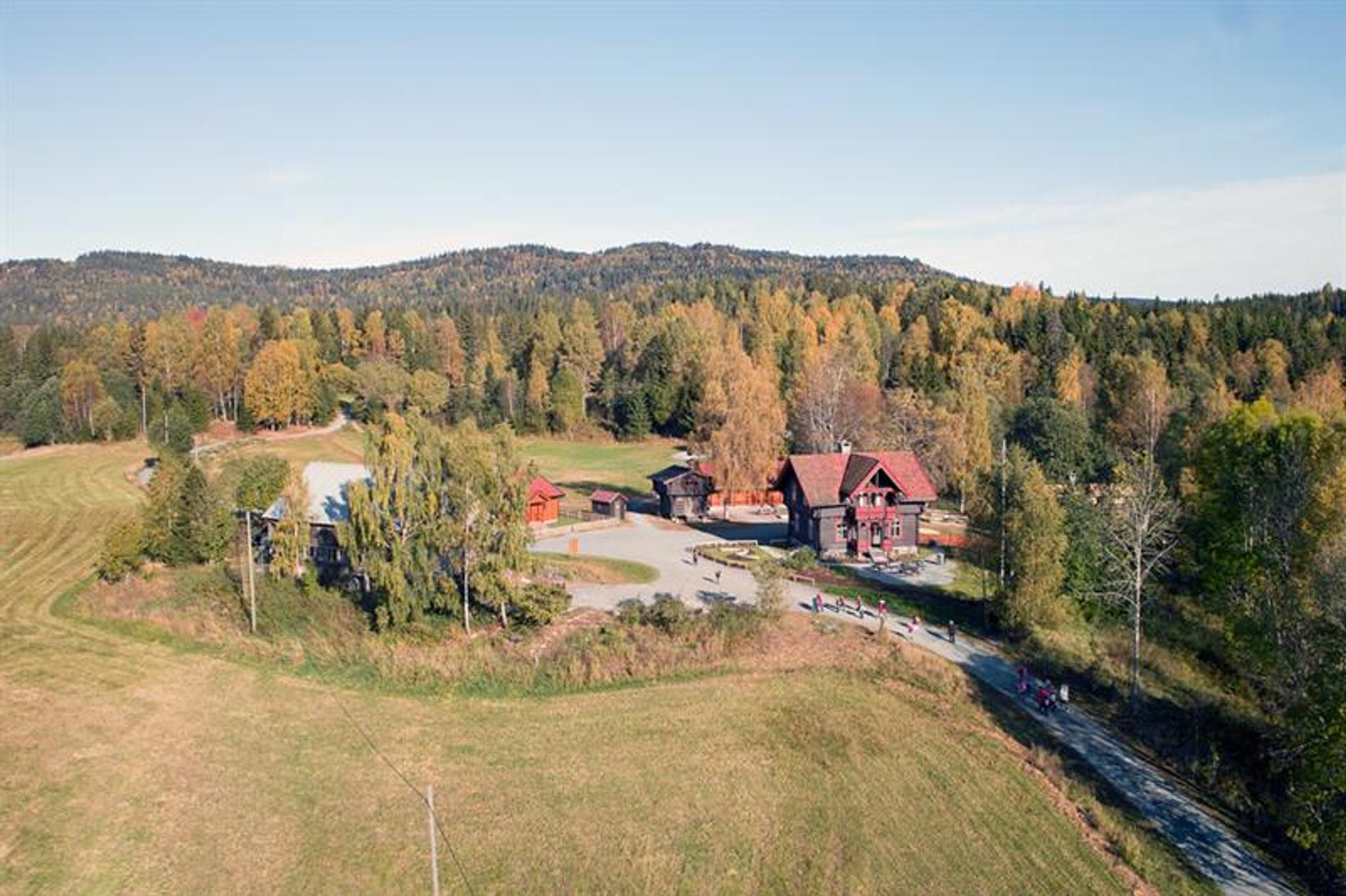 Gården med skog rundt sett fra fugleperspektiv.