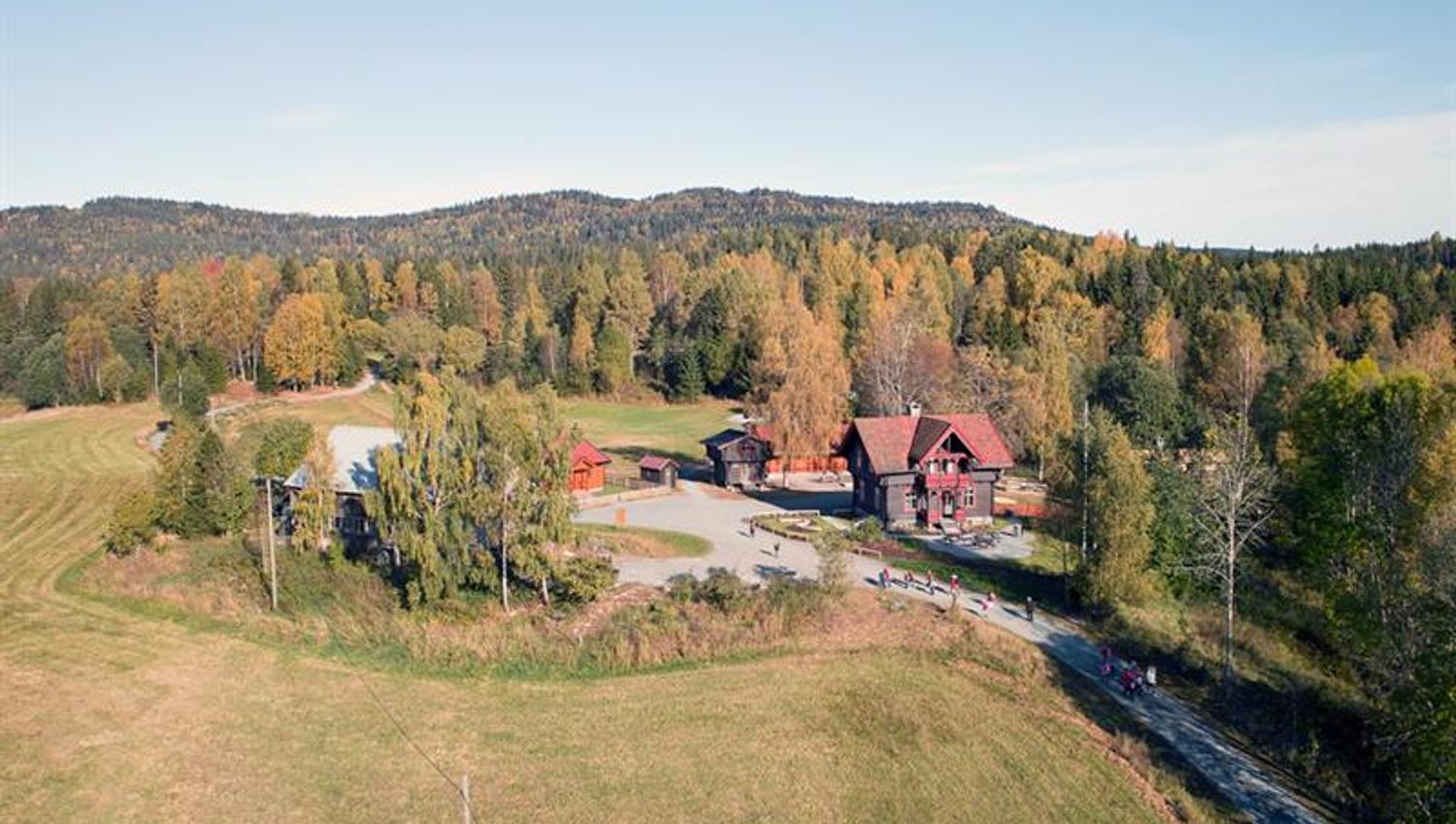 Gården med skog rundt sett fra fugleperspektiv.