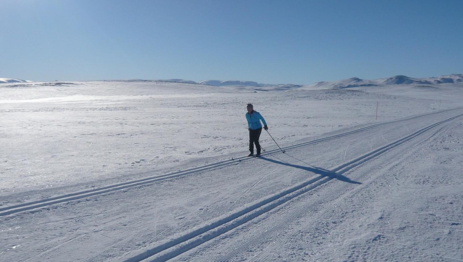 Langrenn-Ål-Vinter