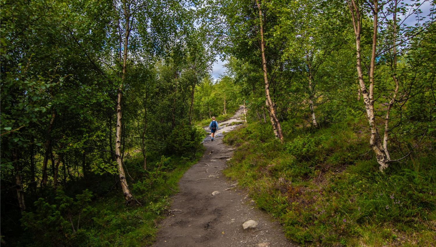 Hike to Prest