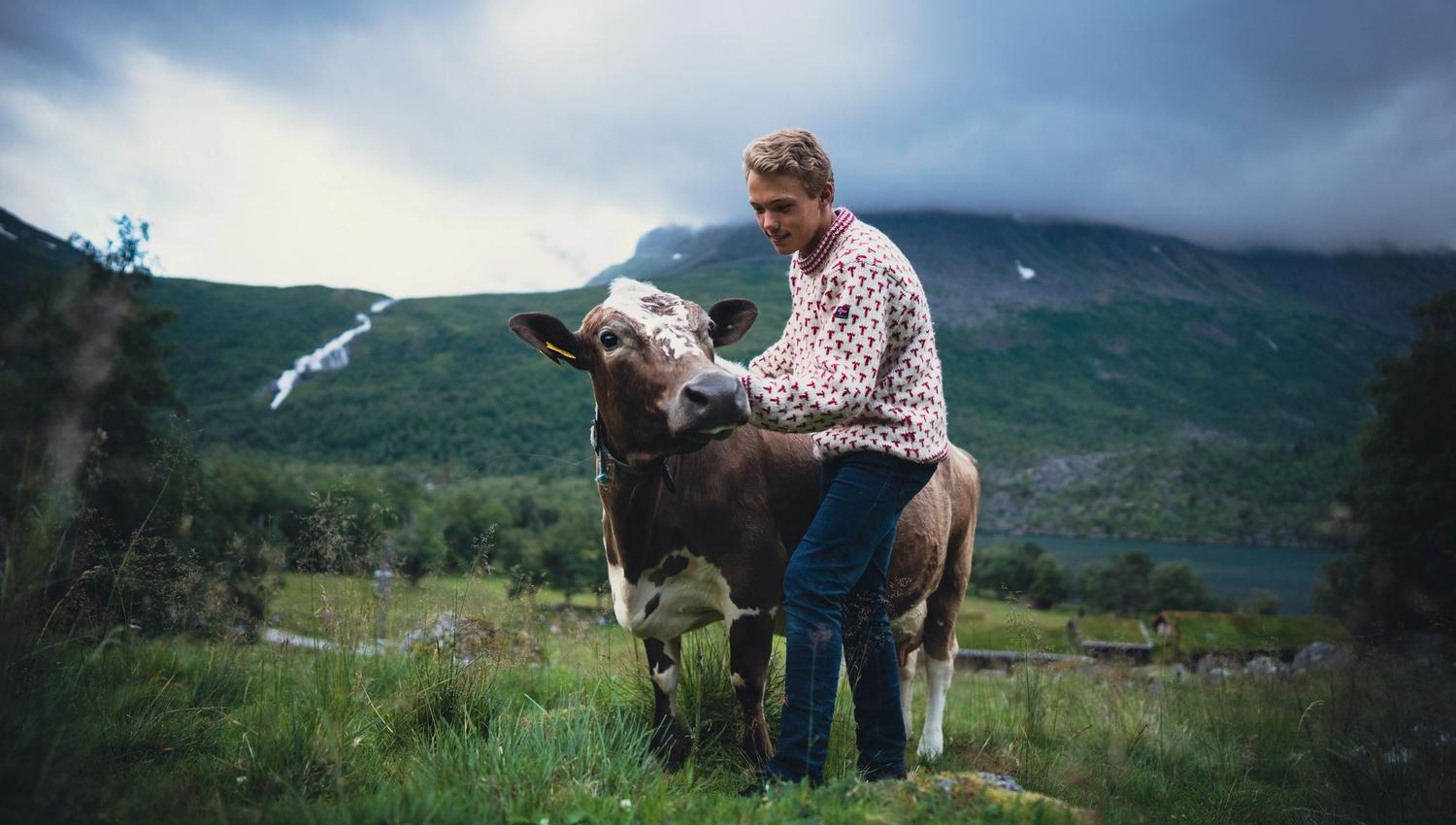 Renndølsetra