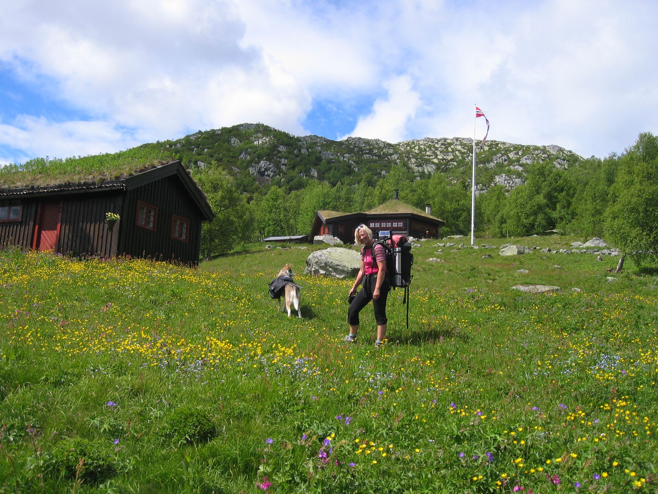 Tone på Hovdestaul