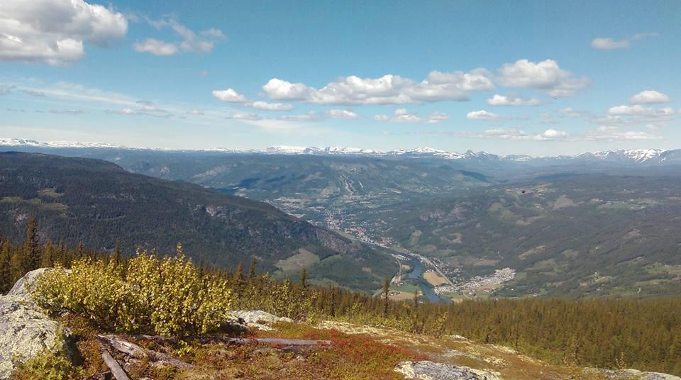 Veikulnatten