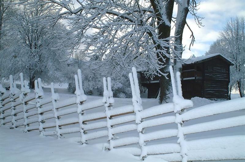 Snø