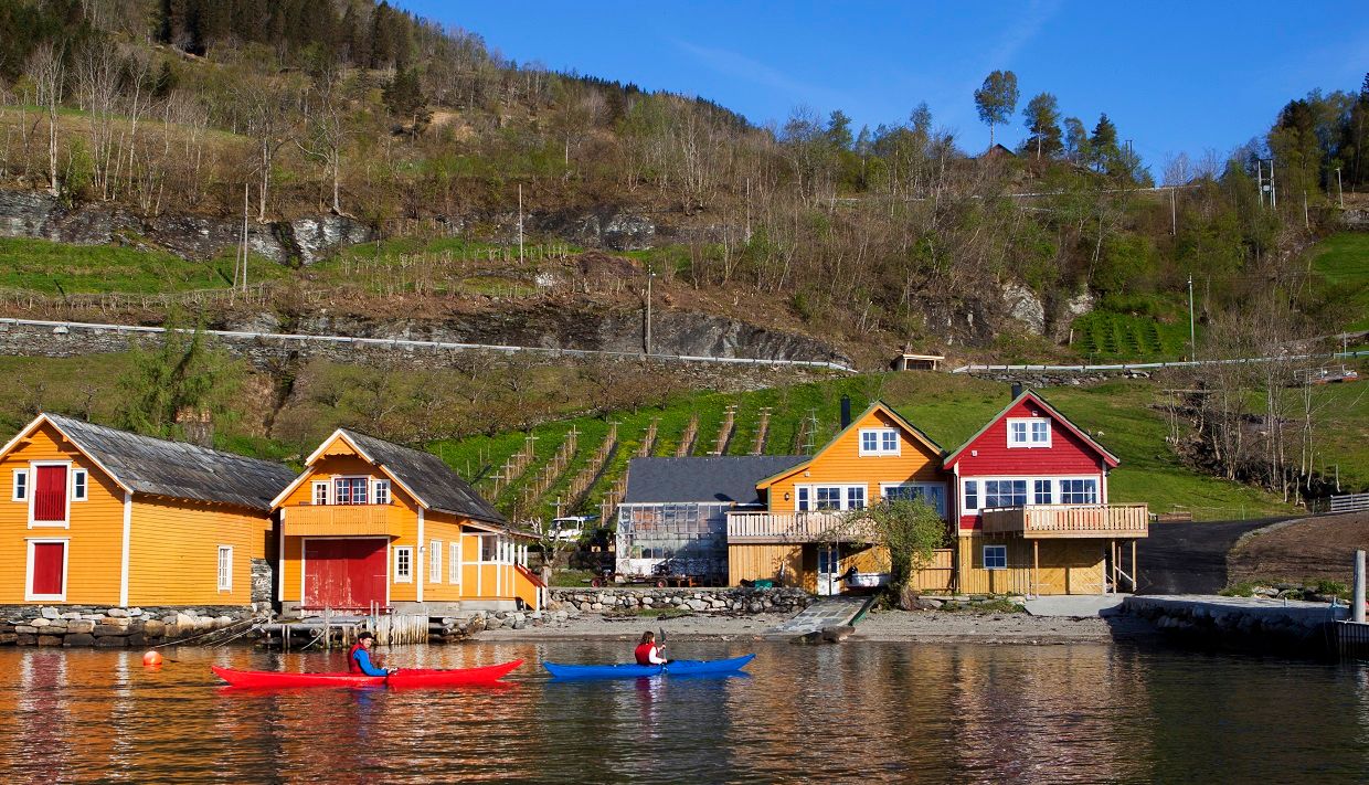 Guests kayaking by the boathouses in Hardanger, surrounded by orchards and green hillsides.