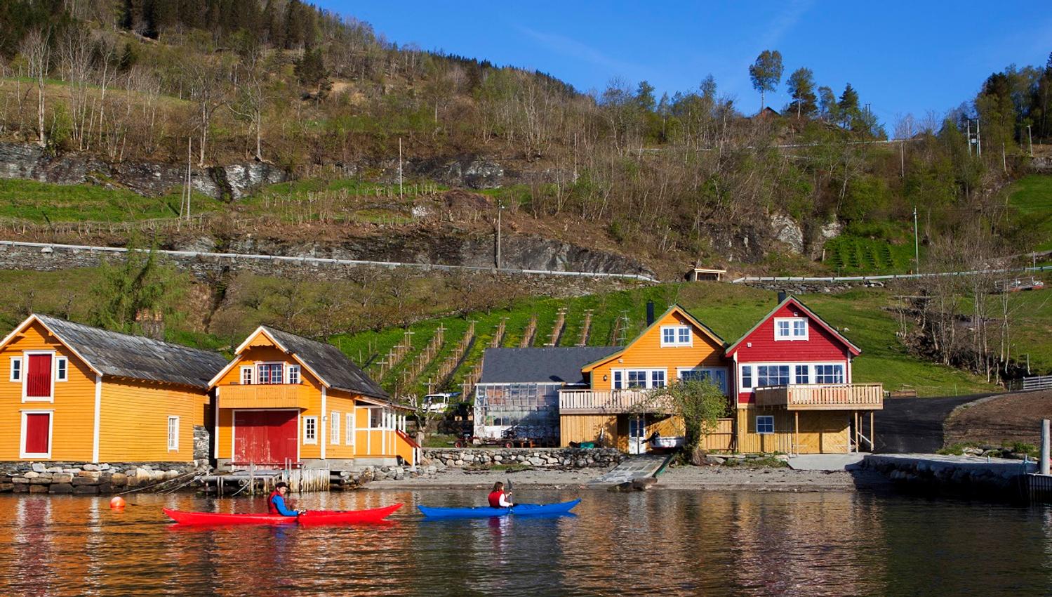 Guests kayaking by the boathouses in Hardanger, surrounded by orchards and green hillsides.