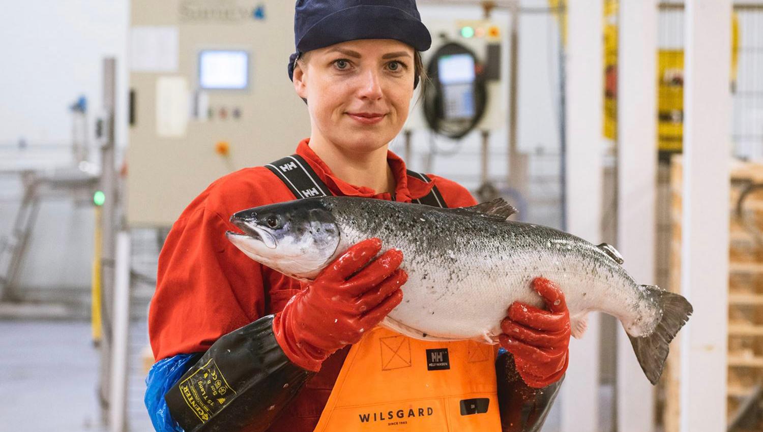 ansatte med laks i hander