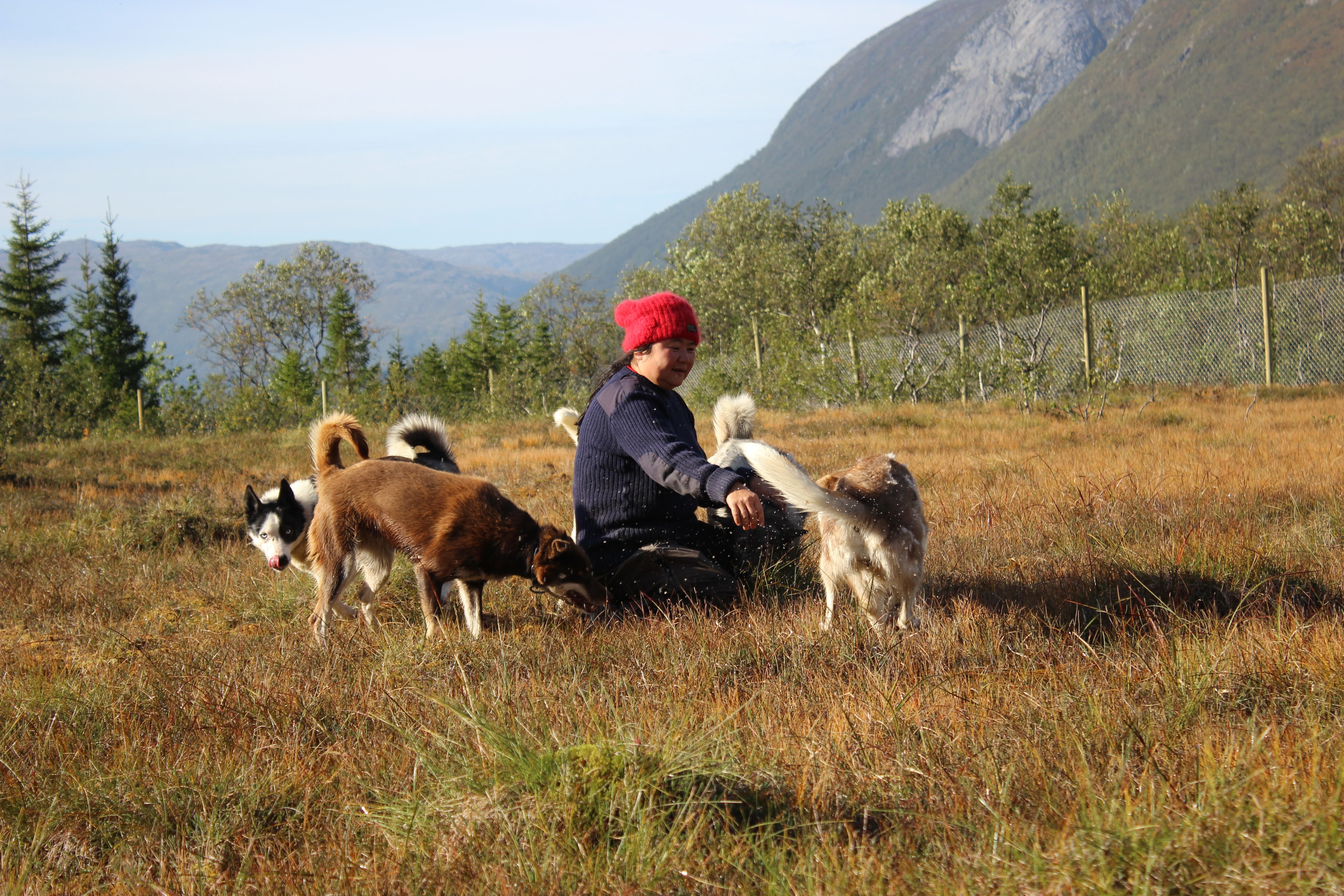 Active Husky Walk