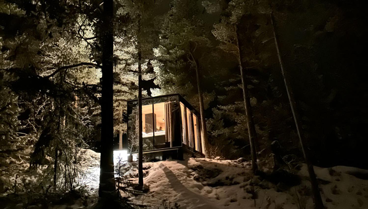 cabin from Spegle in the forest on a winter's evening
