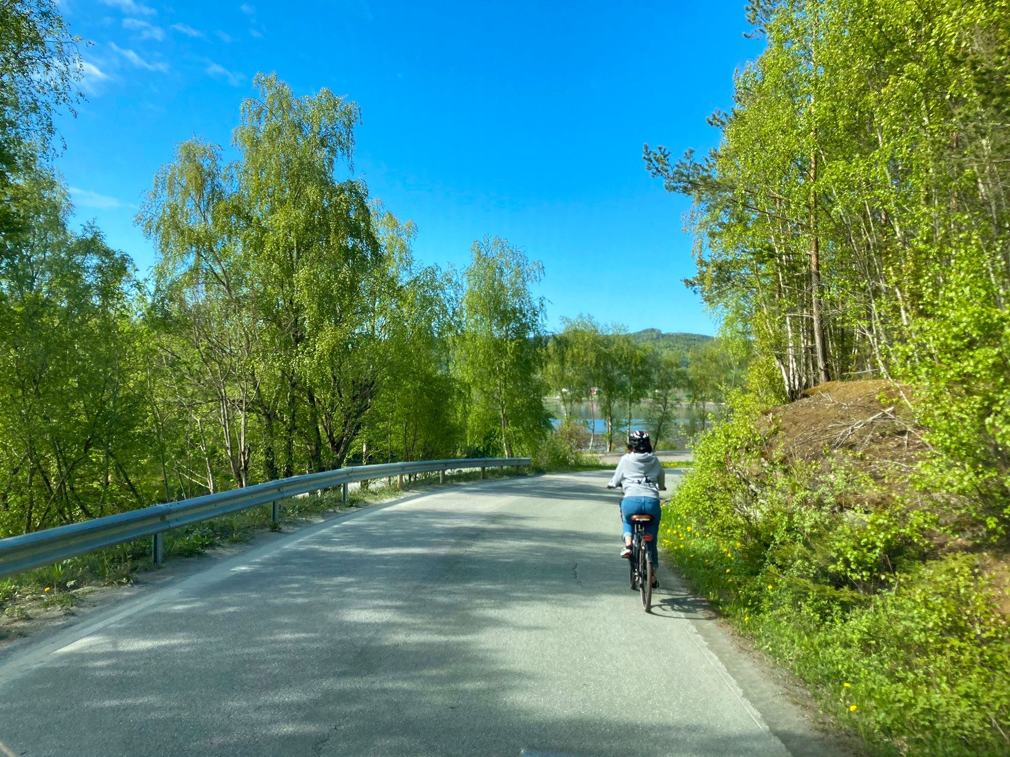 Noe av veien går på asfalt