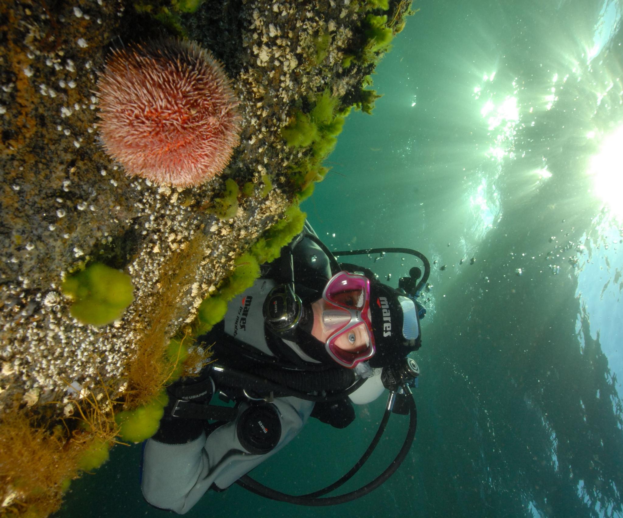 First time diver
