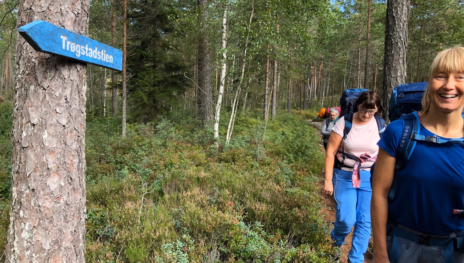 På tur i skogen