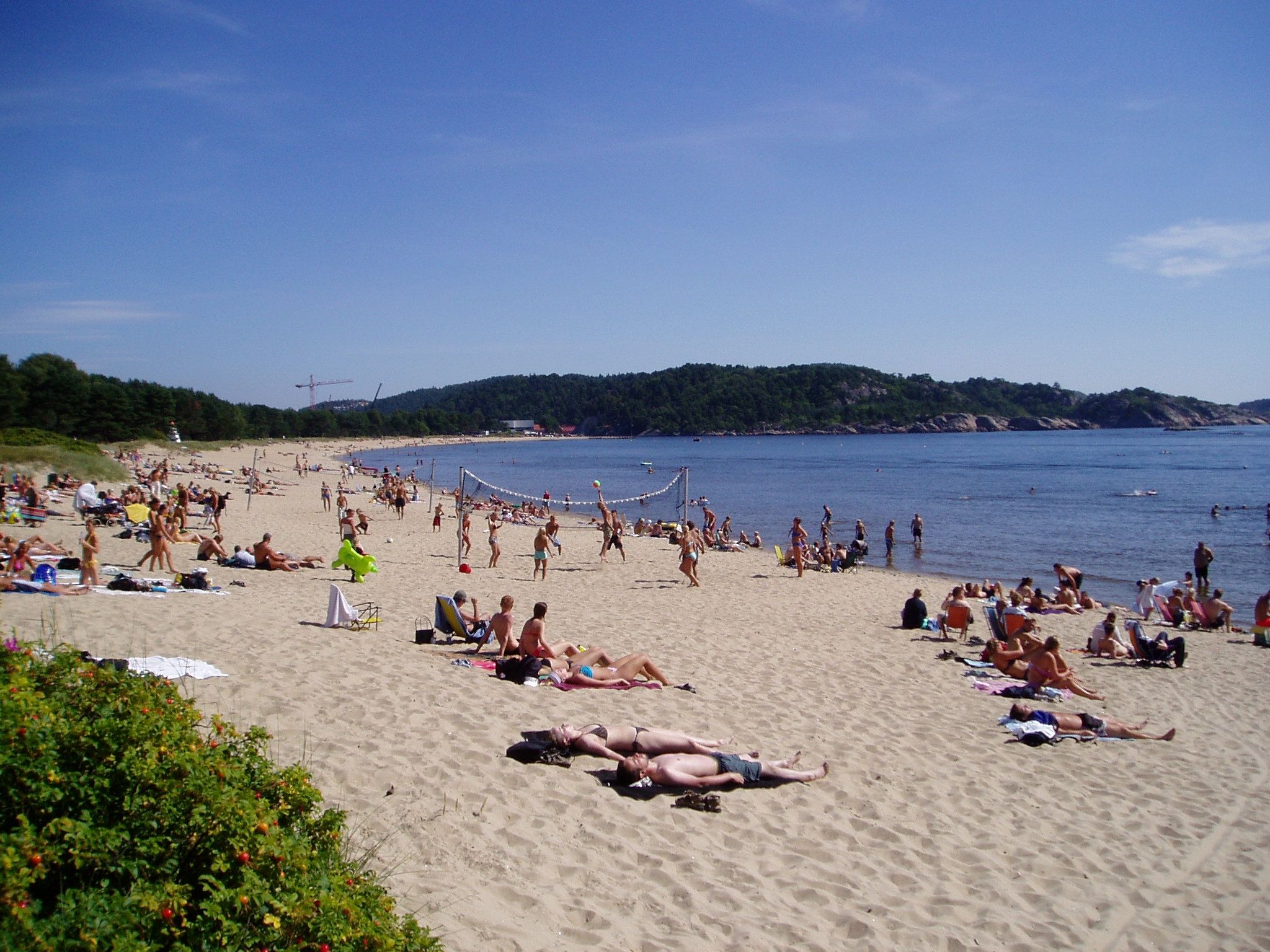 Many people sunbathing on the beach, while some are playing beach volleyball.