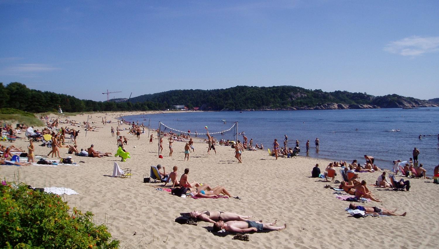 Many people sunbathing on the beach, while some are playing beach volleyball.