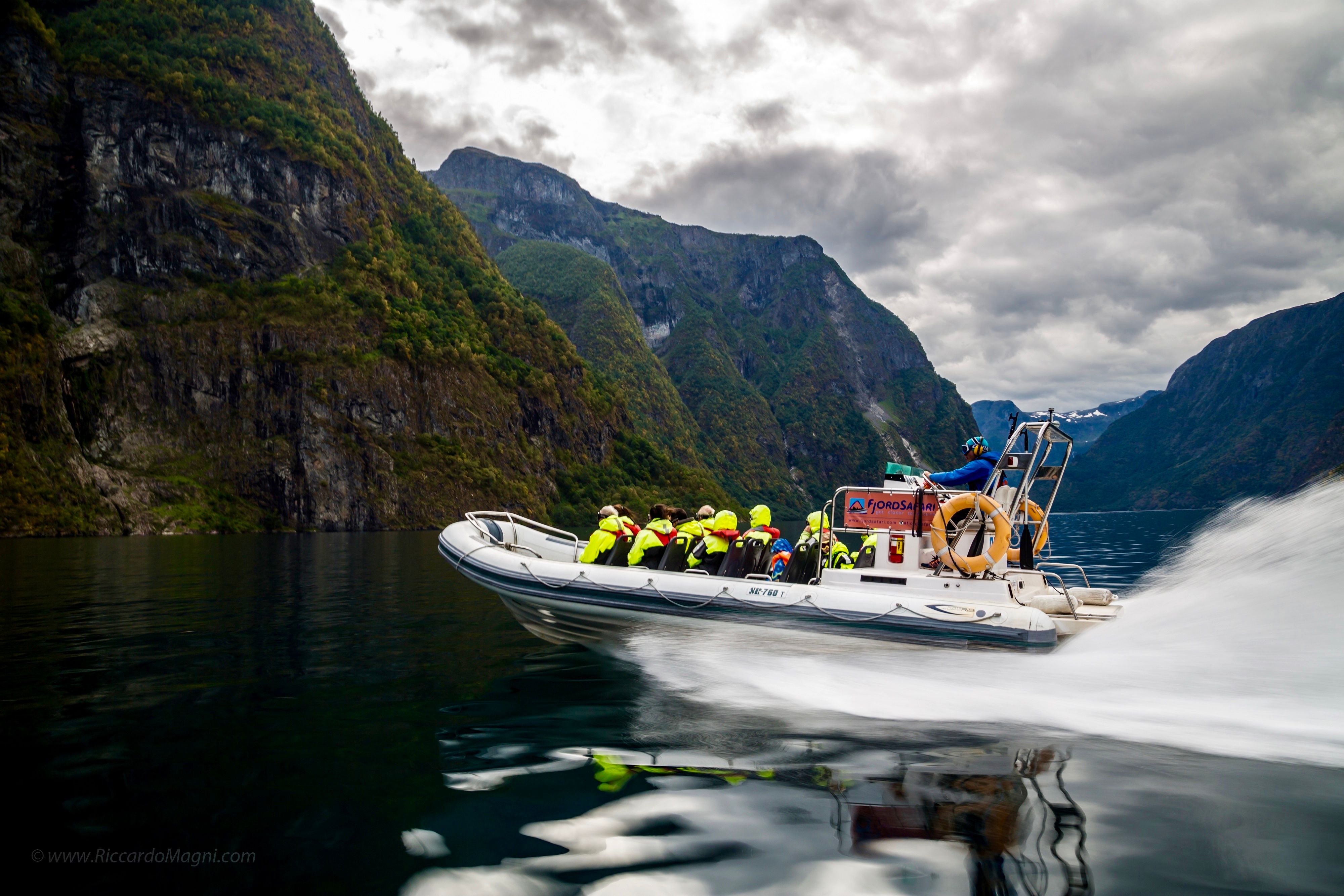 Fjord safari