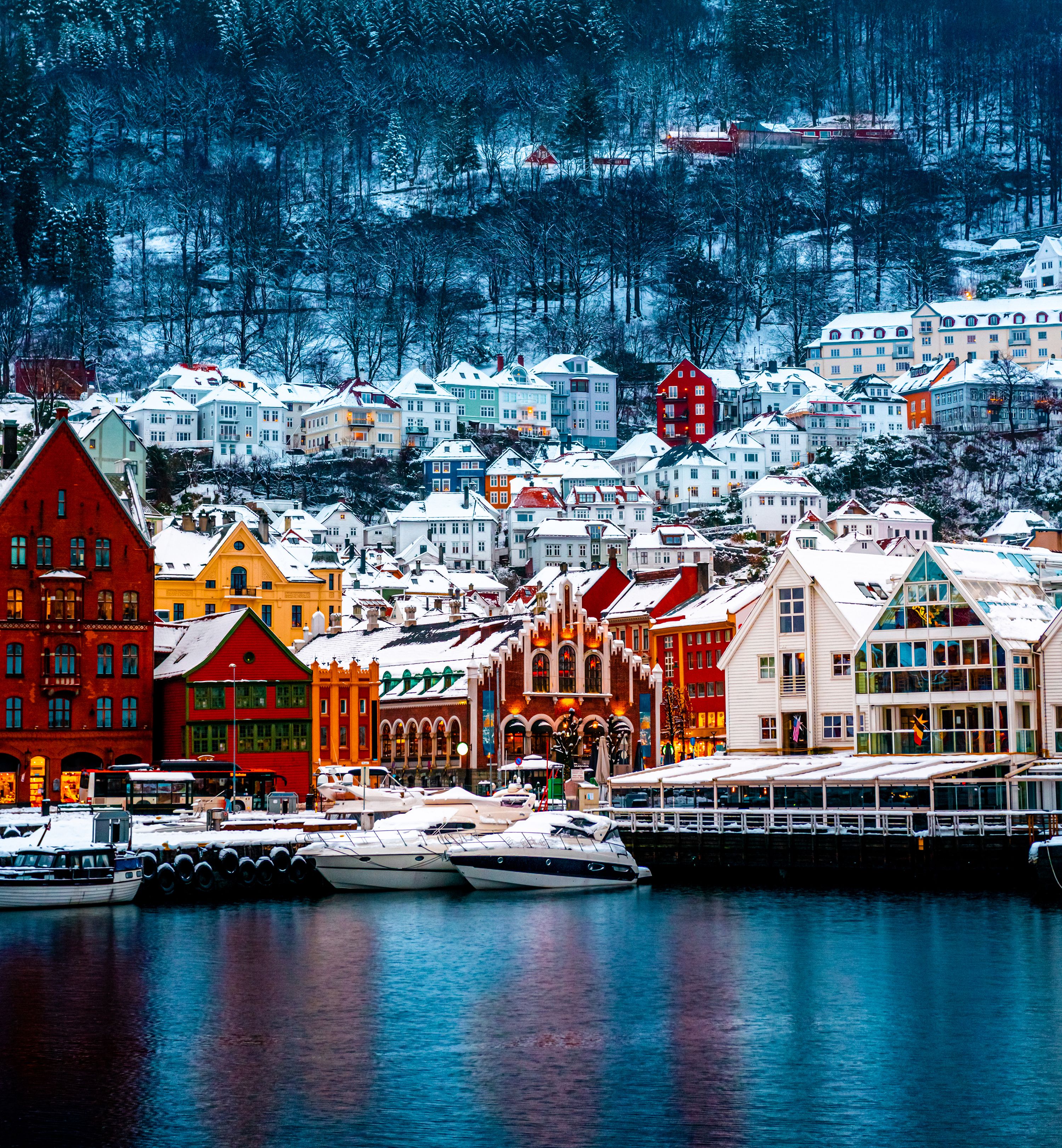 Bergen Bay and Mount Fløyen