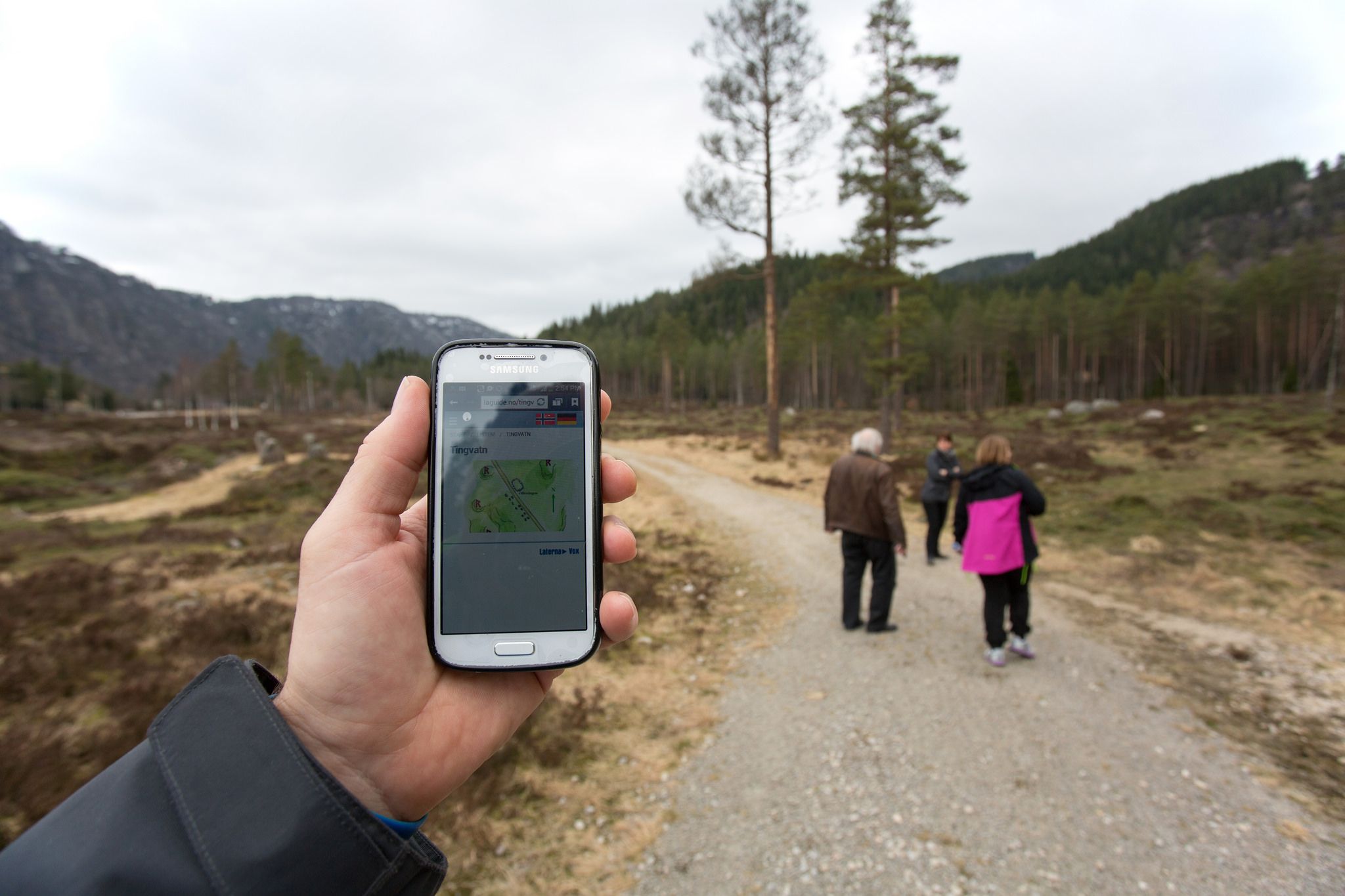 Tingvatn app