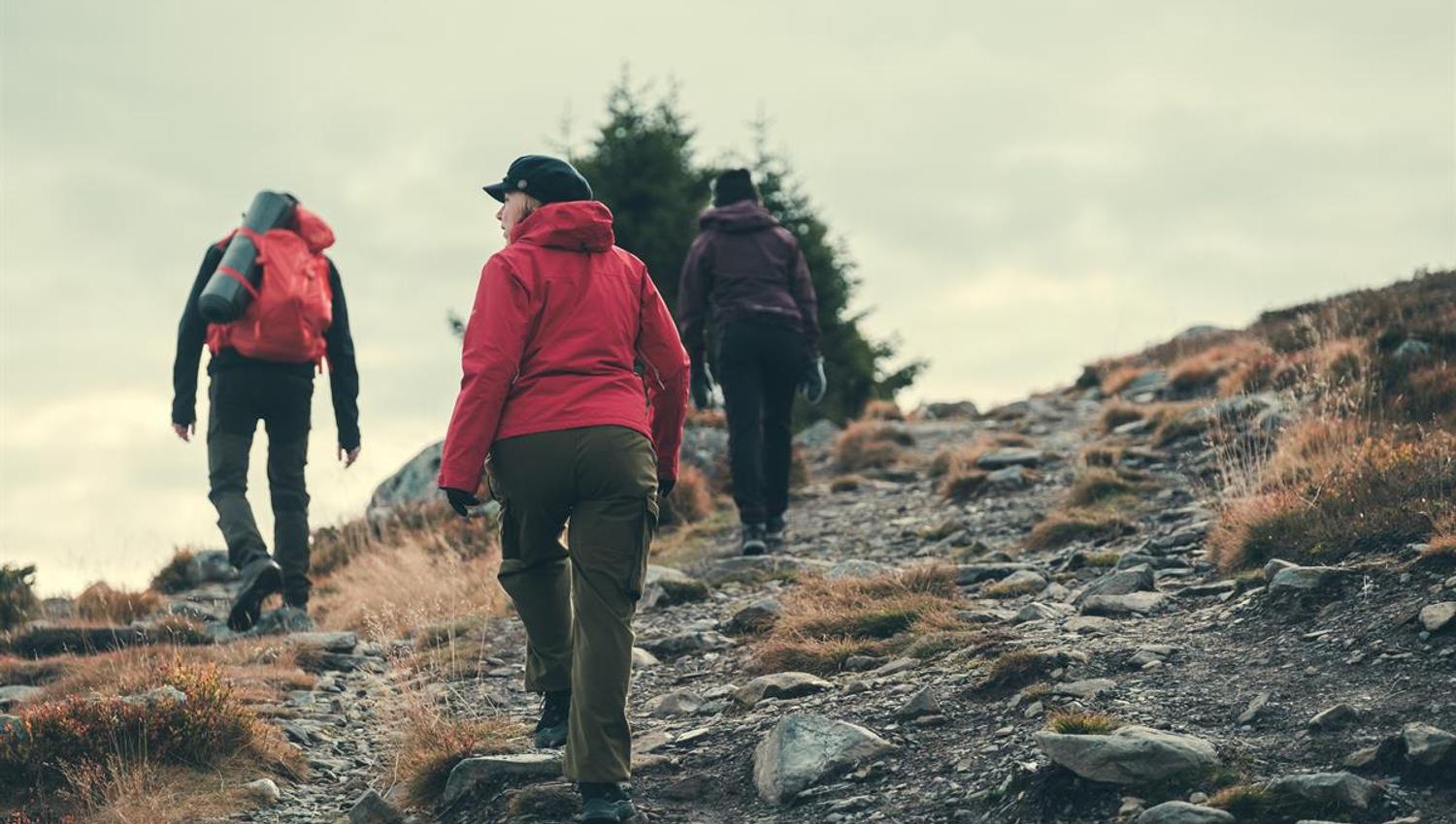 Walking in the mountains