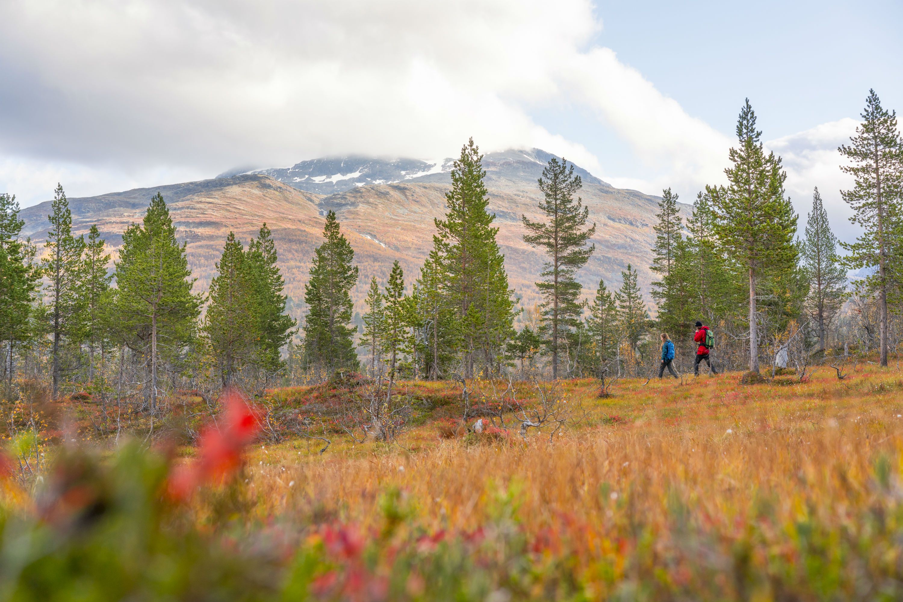 Utladalen, Årdal