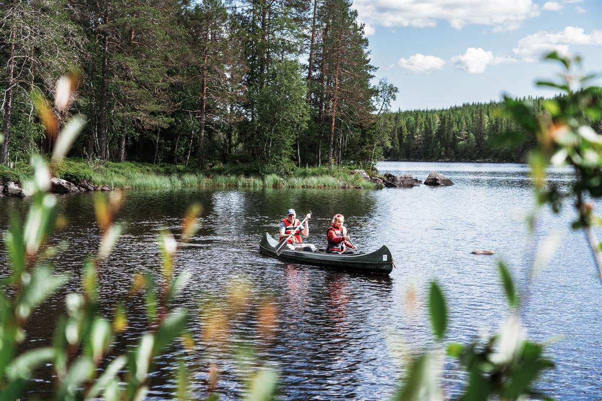 Two people canoeing on a calm forest lake, viewed through blurred reeds in the foreground.
