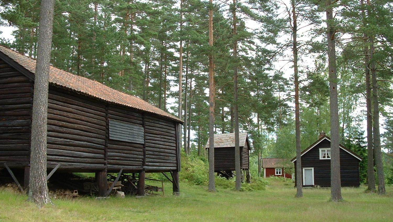 Bygdetunet i Sannidal