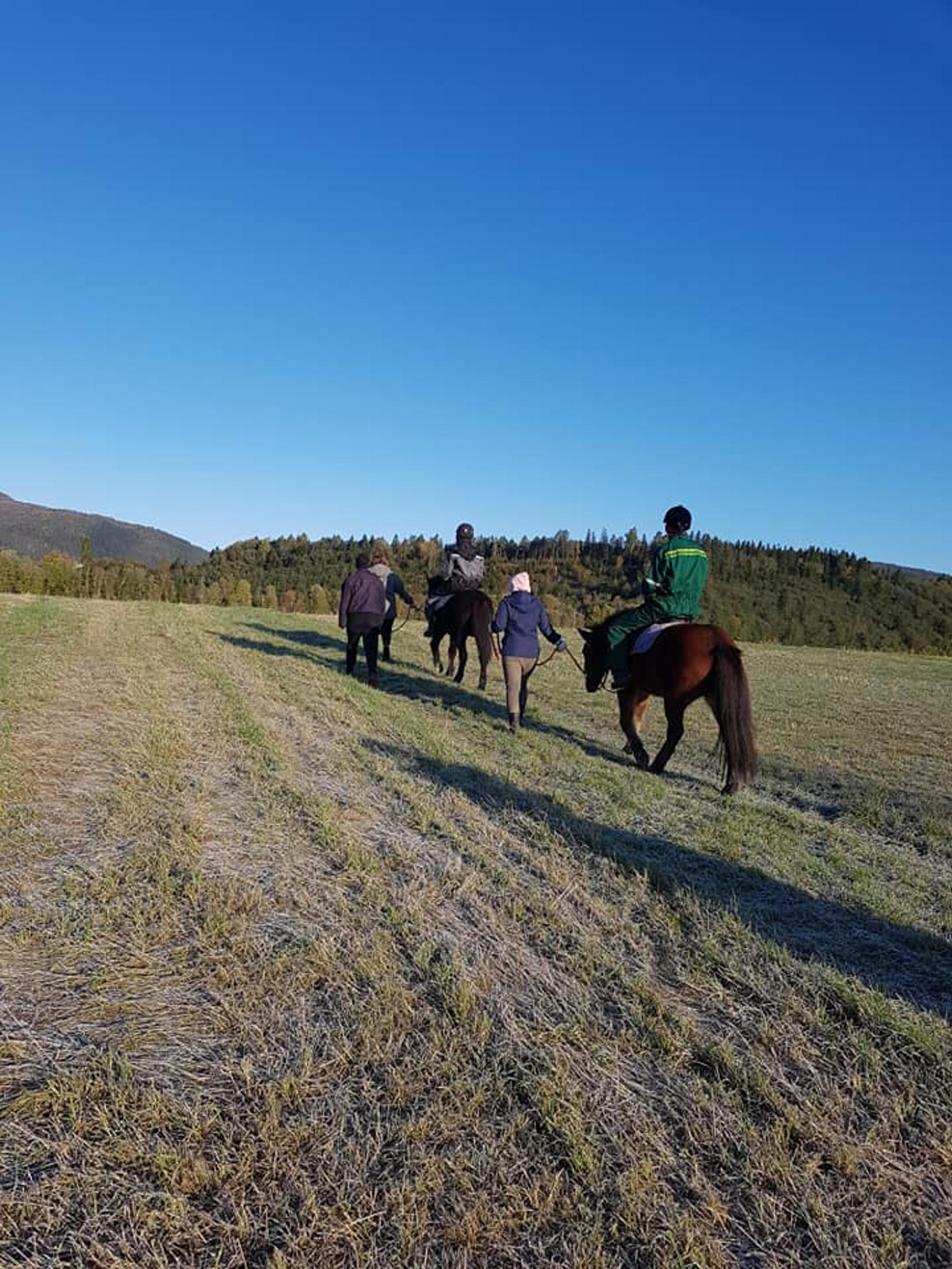 Versuchen Sie Reiten in Jørum Gård