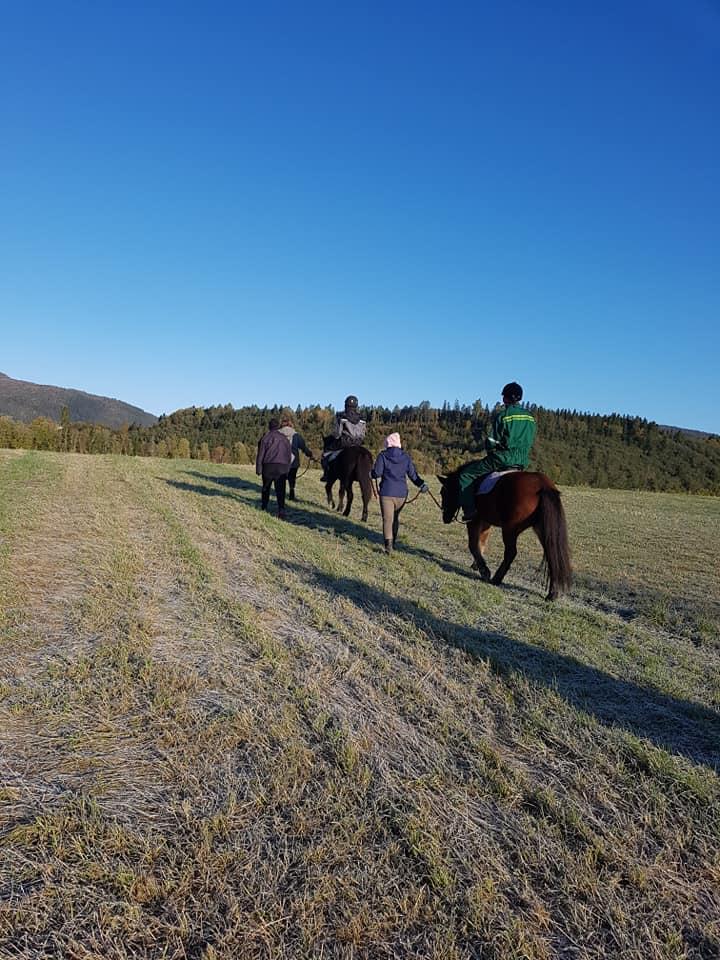 Versuchen Sie Reiten in Jørum Gård