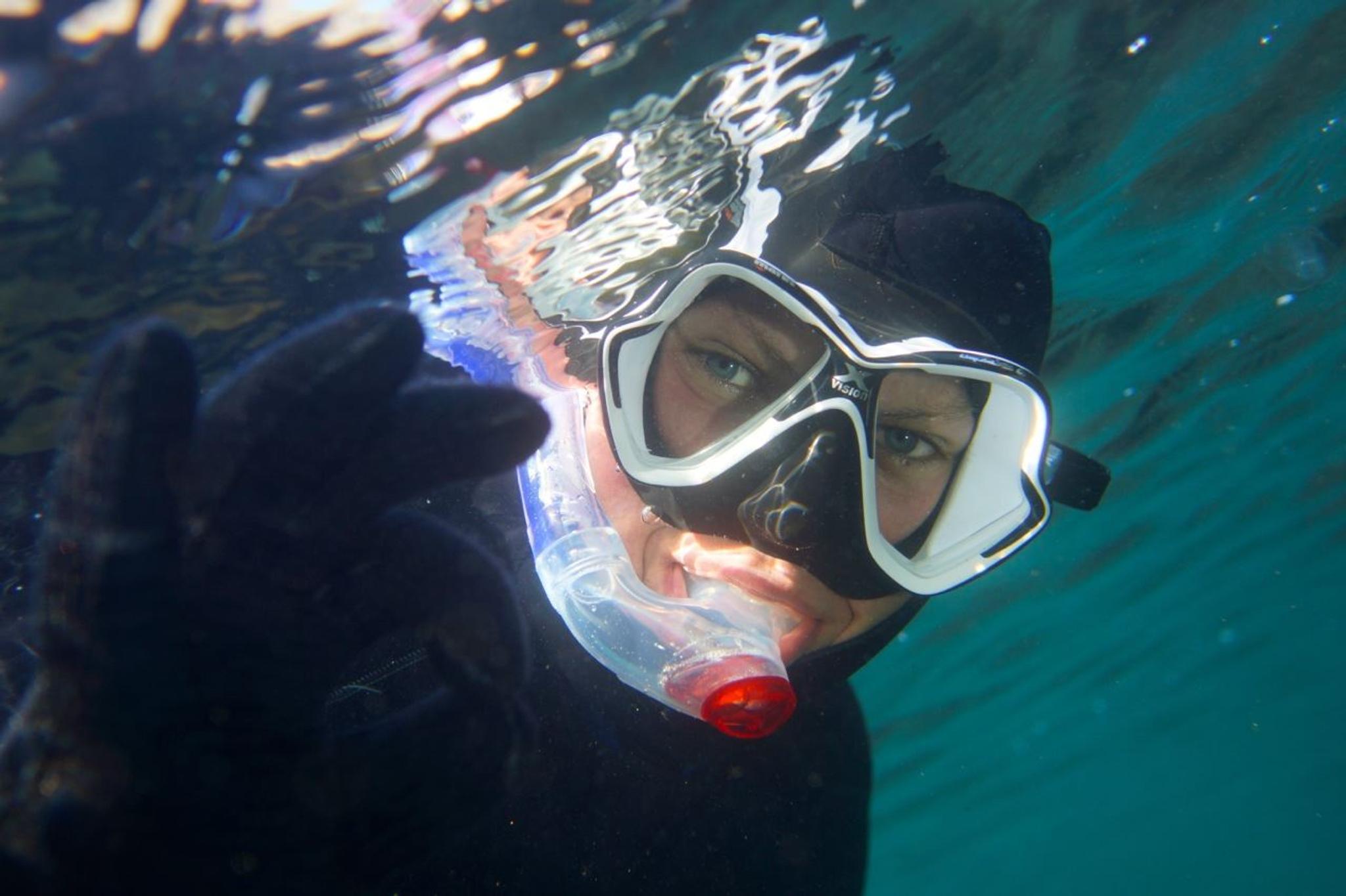 Summer Snorkeling med PADI 5 Star Dykkesenter