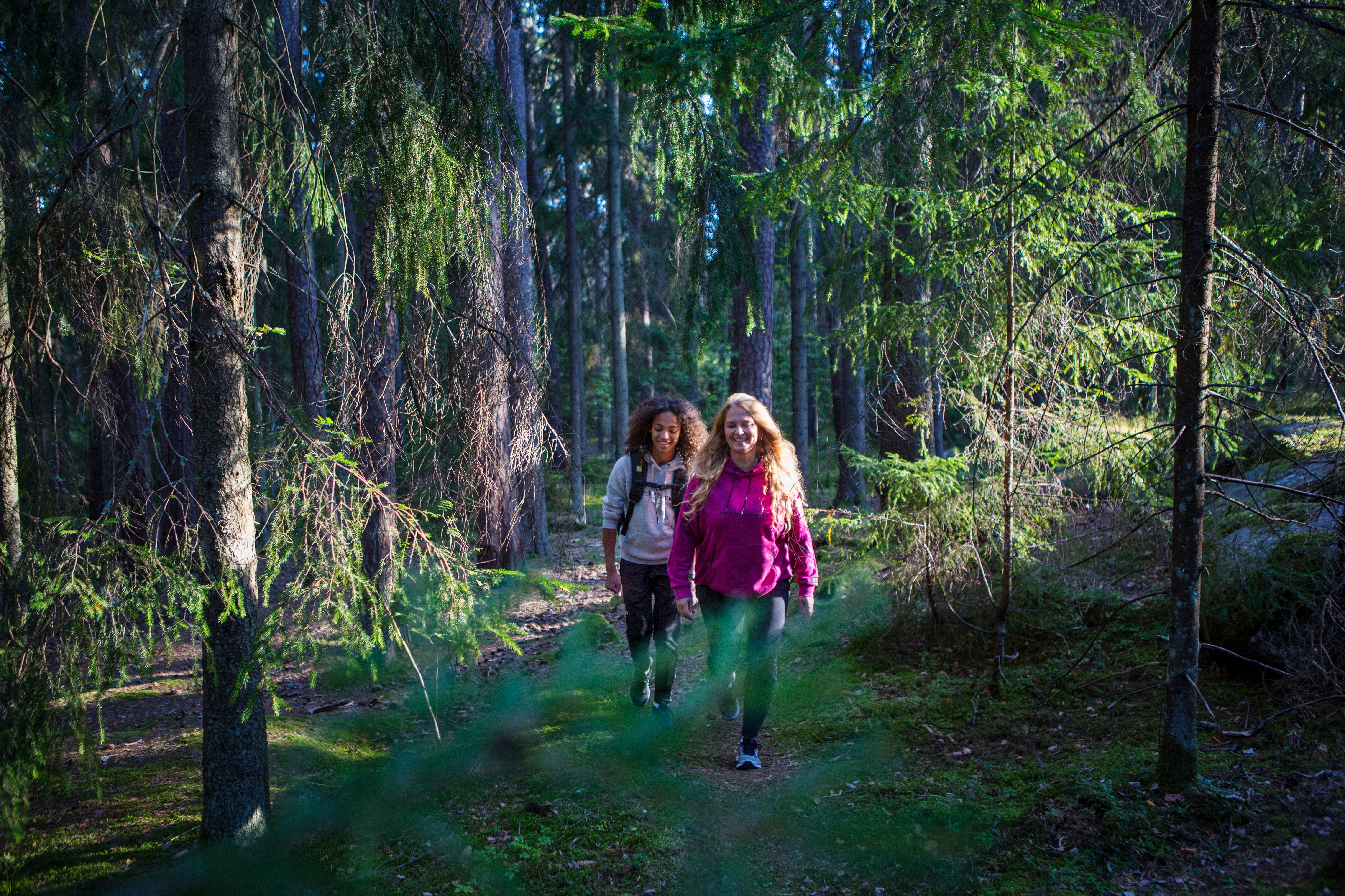 Roger Borgelid Visit Varmland Vandring MbSkogen-Pernilla Lia Stig 01