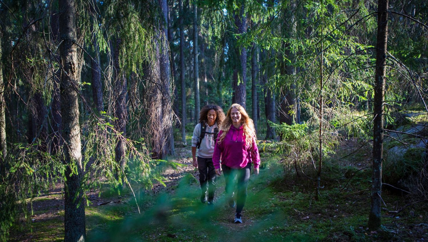 Roger Borgelid Visit Varmland Vandring MbSkogen-Pernilla Lia Stig 01