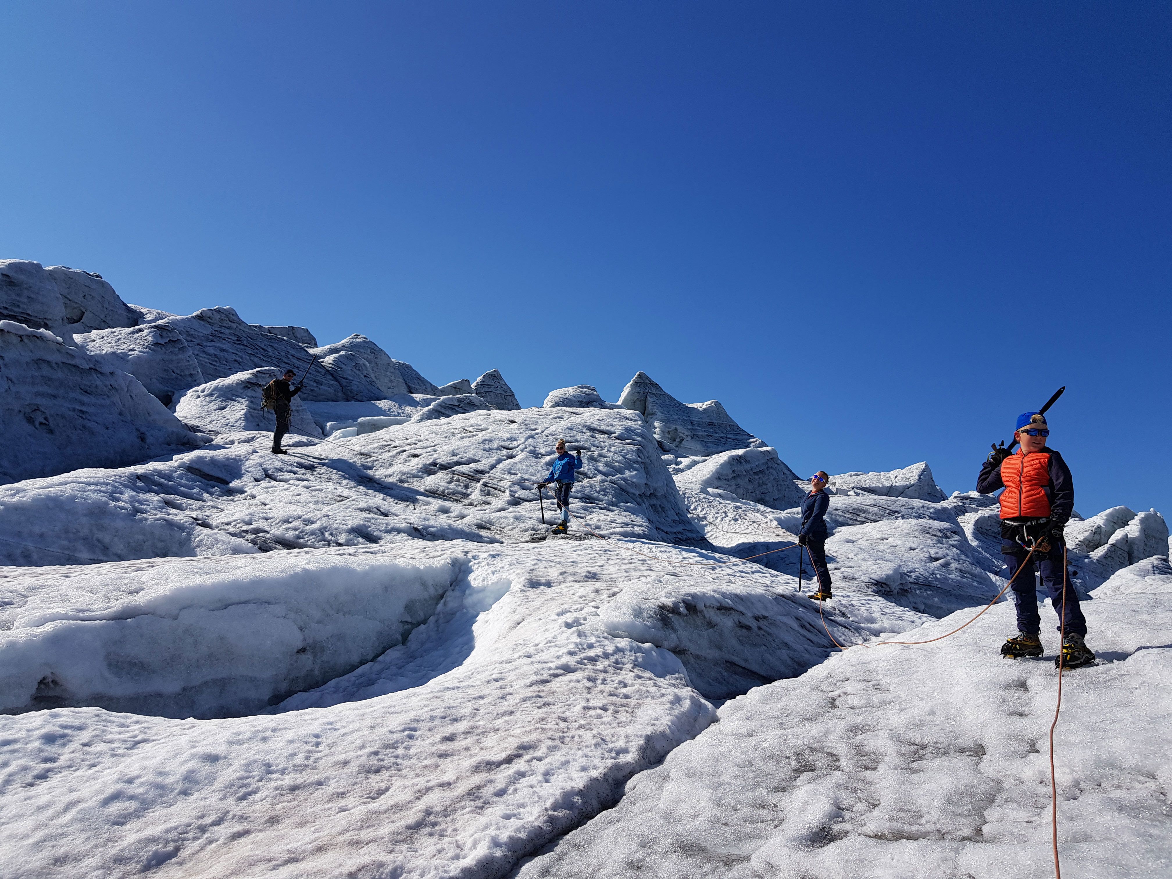 Familie og breførar på trygg brevandring i isformasjonane på Buarbreen.