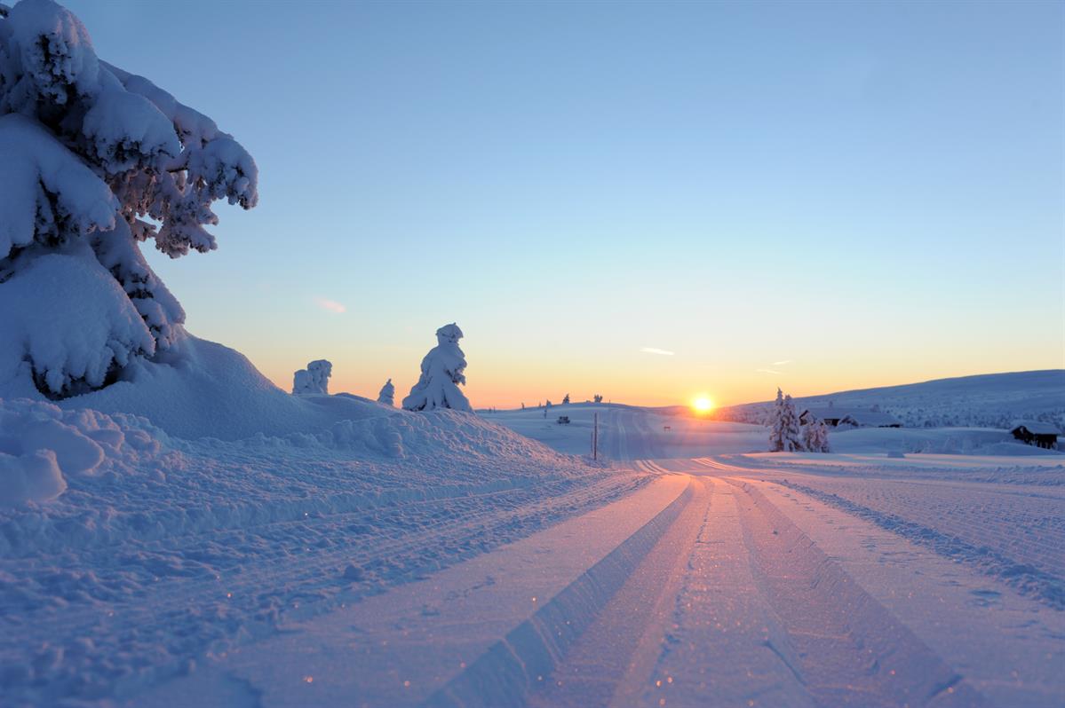 Skitrails in sunset