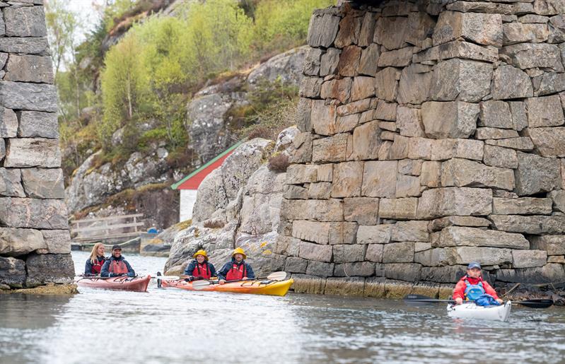 Guided kayak trip