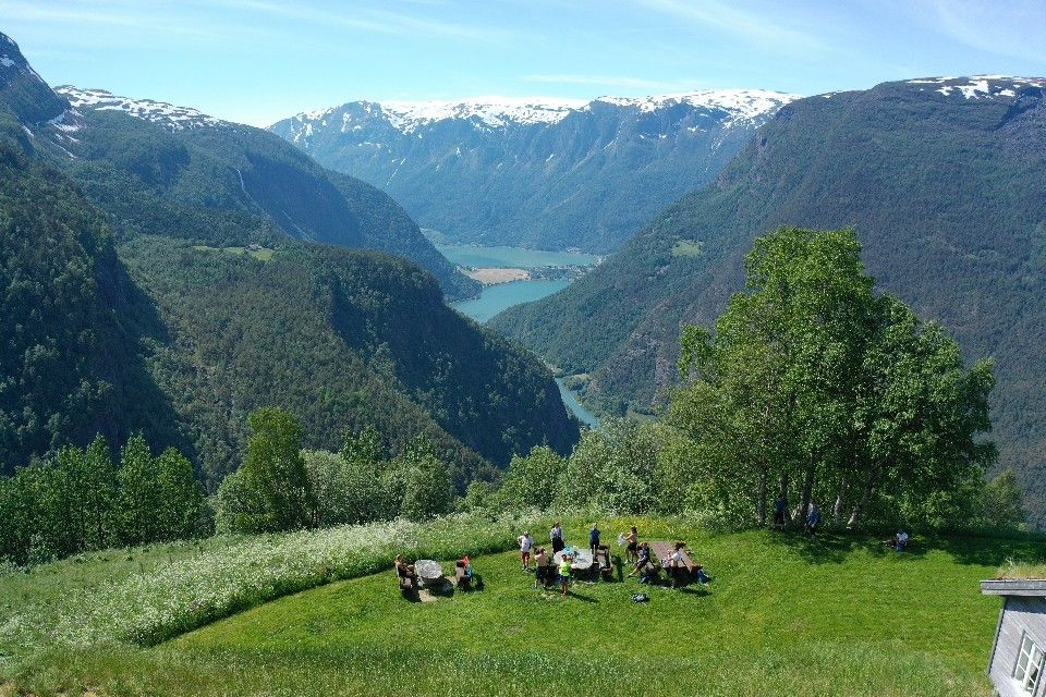Fuglesteg