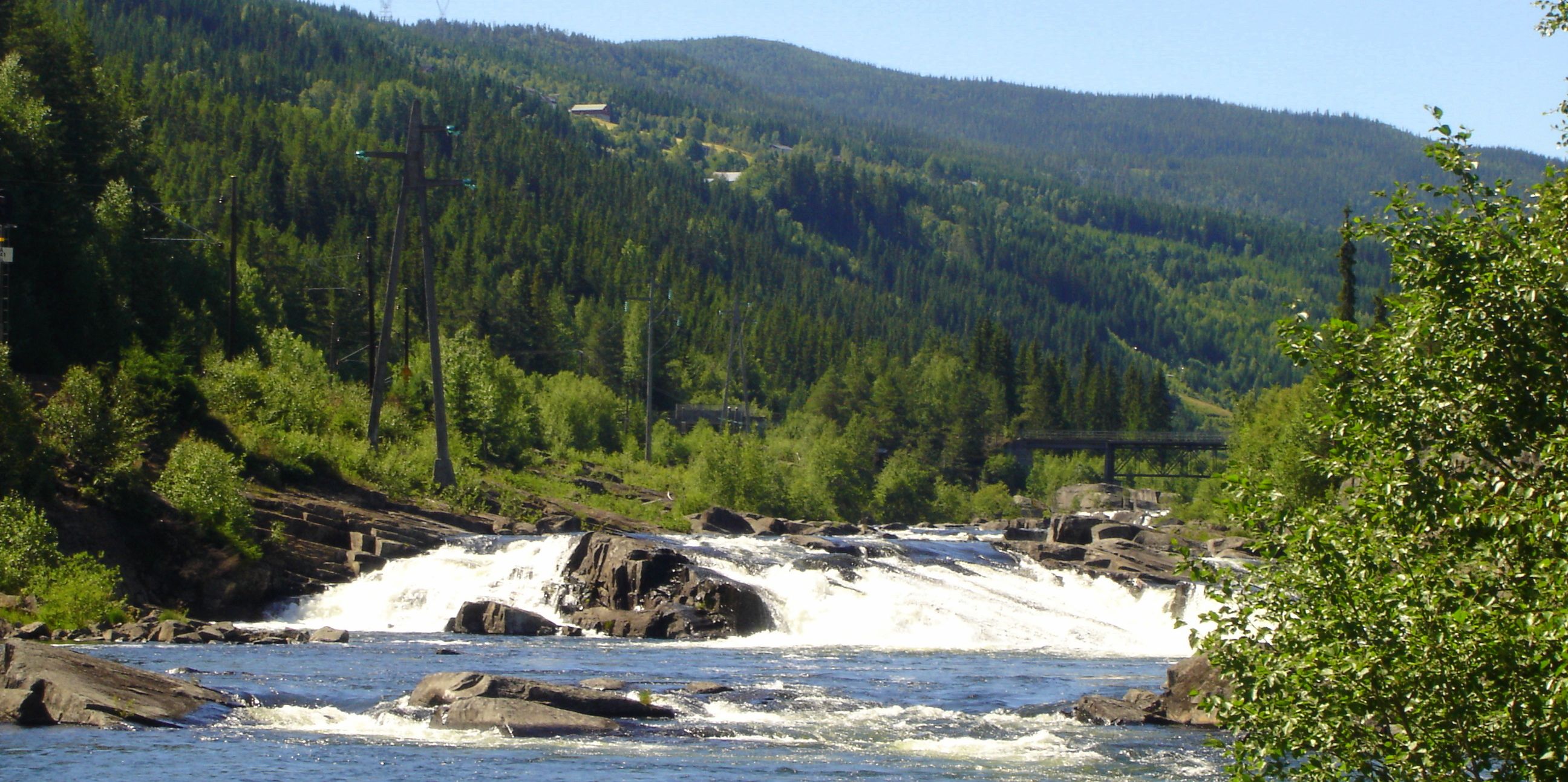 Ål camping