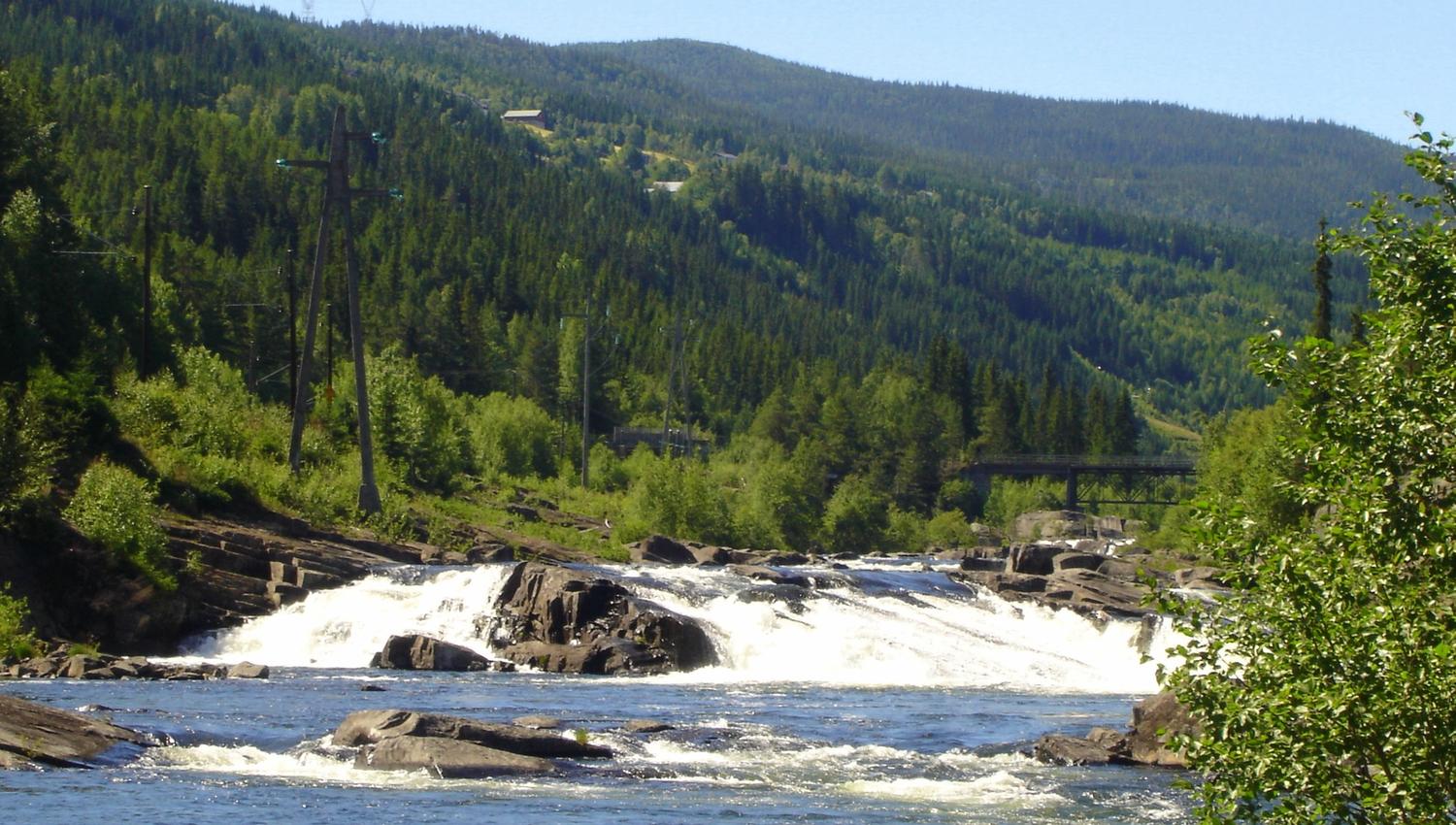Ål camping