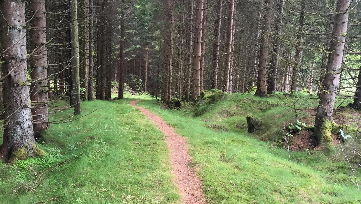 Barnevandrerstien