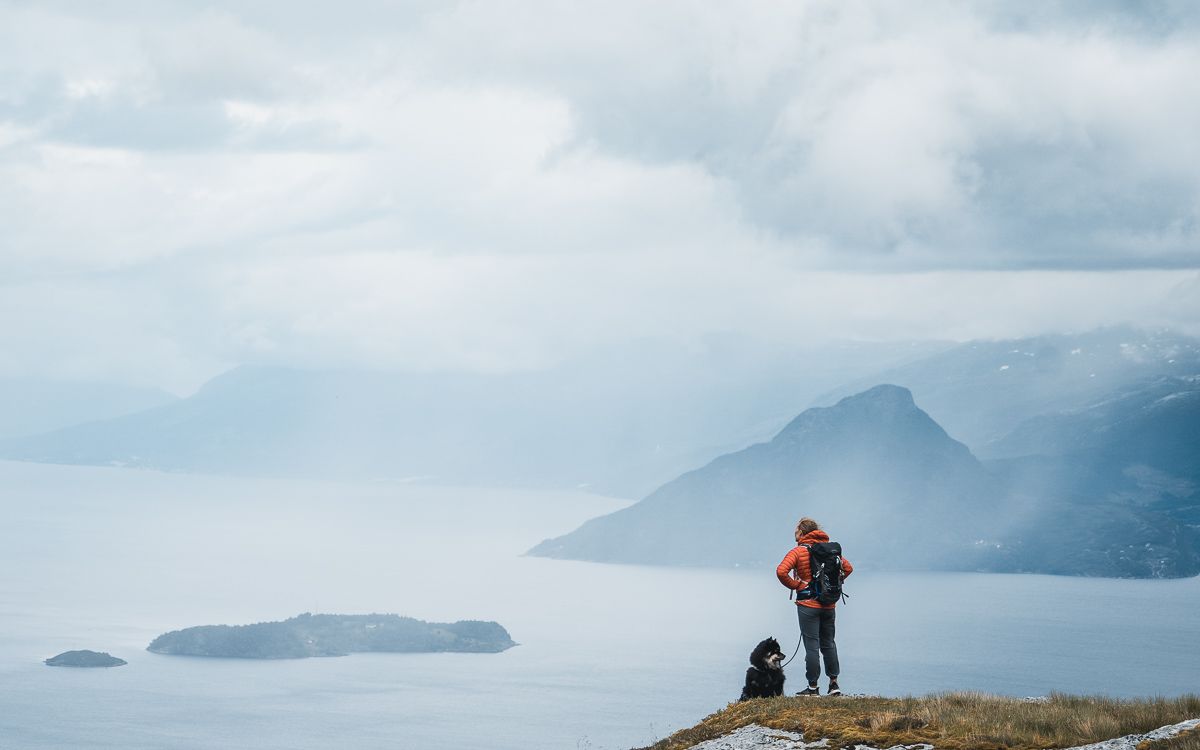 Woman and dog hiking in the mountains over the Hardangerfjord. 