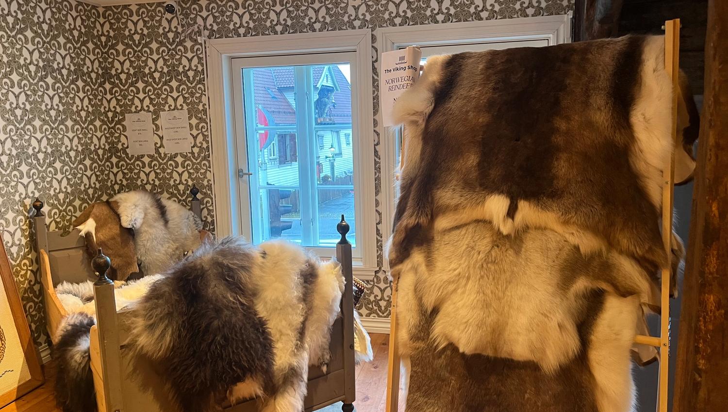 The Viking Shop