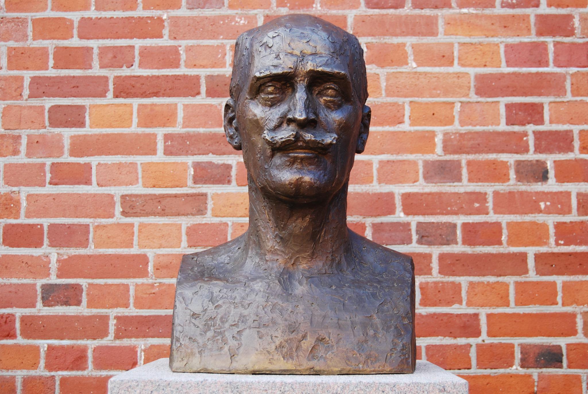 Hamsun on your own